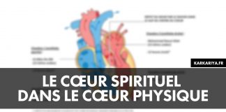 Le cœur spirituel dans le cœur physique.